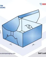 Self Lock Cake Box