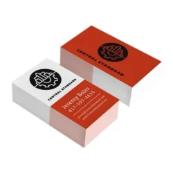 Standard Business Cards