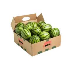 Custom Watermelon Seed Boxes